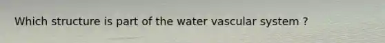 Which structure is part of the water vascular system ?