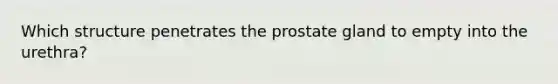 Which structure penetrates the prostate gland to empty into the urethra?