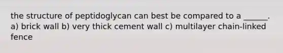 the structure of peptidoglycan can best be compared to a ______. a) brick wall b) very thick cement wall c) multilayer chain-linked fence