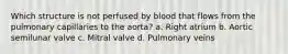 Which structure is not perfused by blood that flows from the pulmonary capillaries to the aorta? a. Right atrium b. Aortic semilunar valve c. Mitral valve d. Pulmonary veins