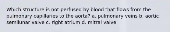 Which structure is not perfused by blood that flows from the pulmonary capillaries to the aorta? a. pulmonary veins b. aortic semilunar valve c. right atrium d. mitral valve