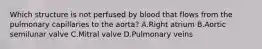 Which structure is not perfused by blood that flows from the pulmonary capillaries to the aorta? A.Right atrium B.Aortic semilunar valve C.Mitral valve D.Pulmonary veins
