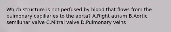 Which structure is not perfused by blood that flows from the pulmonary capillaries to the aorta? A.Right atrium B.Aortic semilunar valve C.Mitral valve D.Pulmonary veins