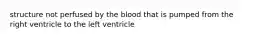 structure not perfused by the blood that is pumped from the right ventricle to the left ventricle