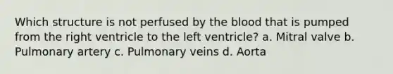 Which structure is not perfused by the blood that is pumped from the right ventricle to the left ventricle? a. Mitral valve b. Pulmonary artery c. Pulmonary veins d. Aorta