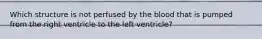 Which structure is not perfused by the blood that is pumped from the right ventricle to the left ventricle?