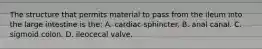 The structure that permits material to pass from the ileum into the large intestine is the: A. cardiac sphincter. B. anal canal. C. sigmoid colon. D. ileocecal valve.