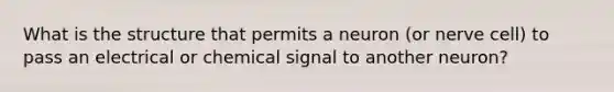 What is the structure that permits a neuron (or nerve cell) to pass an electrical or chemical signal to another neuron?