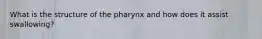 What is the structure of the pharynx and how does it assist swallowing?