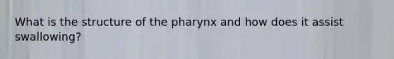 What is the structure of the pharynx and how does it assist swallowing?