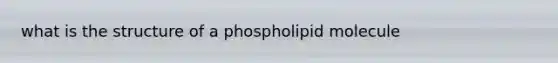 what is the structure of a phospholipid molecule