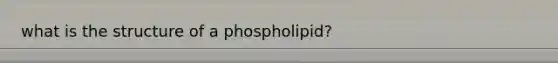 what is the structure of a phospholipid?