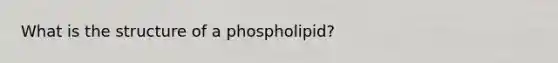 What is the structure of a phospholipid?