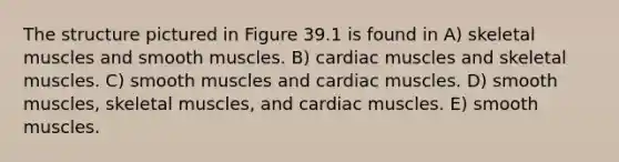 The structure pictured in Figure 39.1 is found in A) skeletal muscles and smooth muscles. B) cardiac muscles and skeletal muscles. C) smooth muscles and cardiac muscles. D) smooth muscles, skeletal muscles, and cardiac muscles. E) smooth muscles.