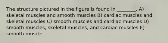 The structure pictured in the figure is found in ________. A) skeletal muscles and smooth muscles B) cardiac muscles and skeletal muscles C) smooth muscles and cardiac muscles D) smooth muscles, skeletal muscles, and cardiac muscles E) smooth muscle