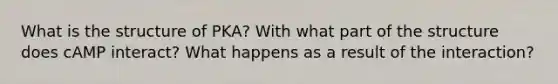 What is the structure of PKA? With what part of the structure does cAMP interact? What happens as a result of the interaction?