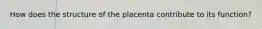 How does the structure of the placenta contribute to its function?