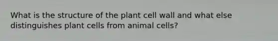 What is the structure of the plant cell wall and what else distinguishes plant cells from animal cells?