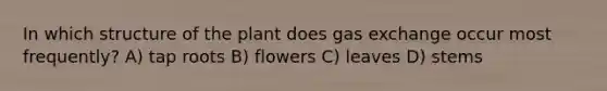 In which structure of the plant does <a href='https://www.questionai.com/knowledge/kU8LNOksTA-gas-exchange' class='anchor-knowledge'>gas exchange</a> occur most frequently? A) tap roots B) flowers C) leaves D) stems