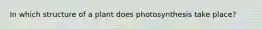 In which structure of a plant does photosynthesis take place?