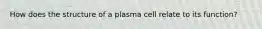 How does the structure of a plasma cell relate to its function?