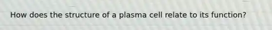 How does the structure of a plasma cell relate to its function?