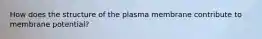 How does the structure of the plasma membrane contribute to membrane potential?