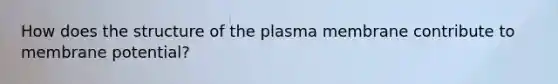 How does the structure of the plasma membrane contribute to membrane potential?