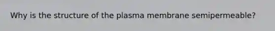 Why is the structure of the plasma membrane semipermeable?