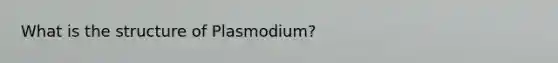 What is the structure of Plasmodium?