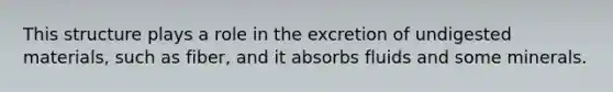 This structure plays a role in the excretion of undigested materials, such as fiber, and it absorbs fluids and some minerals.