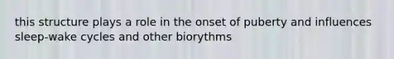 this structure plays a role in the onset of puberty and influences sleep-wake cycles and other biorythms