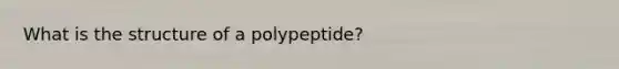 What is the structure of a polypeptide?