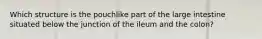 Which structure is the pouchlike part of the large intestine situated below the junction of the ileum and the colon?