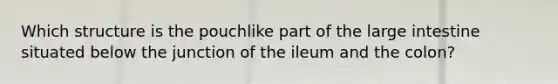 Which structure is the pouchlike part of the large intestine situated below the junction of the ileum and the colon?