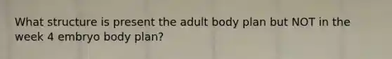 What structure is present the adult body plan but NOT in the week 4 embryo body plan?