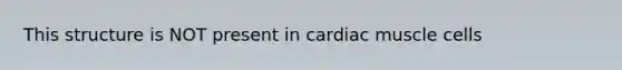 This structure is NOT present in cardiac muscle cells