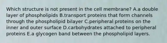 Which structure is not present in the cell membrane? A.a double layer of phospholipids B.transport proteins that form channels through the phospholipid bilayer C.peripheral proteins on the inner and outer surface D.carbohydrates attached to peripheral proteins E.a glycogen band between the phospholipid layers.