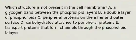 Which structure is not present in the cell membrane? A. a glycogen band between the phospholipid layers B. a double layer of phospholipids C. peripheral proteins on the inner and outer surface D. carbohydrates attached to peripheral proteins E. transport proteins that form channels through the phospholipid bilayer