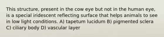 This structure, present in the cow eye but not in the human eye, is a special iridescent reflecting surface that helps animals to see in low light conditions. A) tapetum lucidum B) pigmented sclera C) ciliary body D) vascular layer