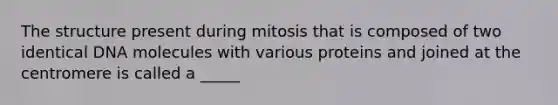 The structure present during mitosis that is composed of two identical DNA molecules with various proteins and joined at the centromere is called a _____