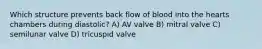 Which structure prevents back flow of blood into the hearts chambers during diastolic? A) AV valve B) mitral valve C) semilunar valve D) tricuspid valve