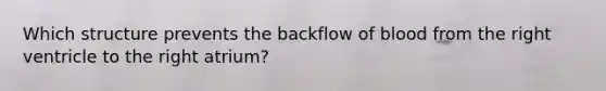 Which structure prevents the backflow of blood from the right ventricle to the right atrium?