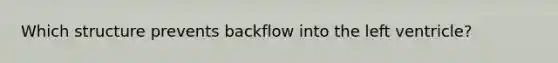 Which structure prevents backflow into the left ventricle?