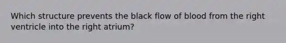 Which structure prevents the black flow of blood from the right ventricle into the right atrium?