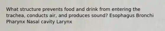 What structure prevents food and drink from entering the trachea, conducts air, and produces sound? Esophagus Bronchi Pharynx Nasal cavity Larynx