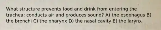 What structure prevents food and drink from entering the trachea; conducts air and produces sound? A) the esophagus B) the bronchi C) the pharynx D) the nasal cavity E) the larynx