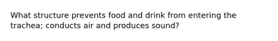 What structure prevents food and drink from entering the trachea; conducts air and produces sound?