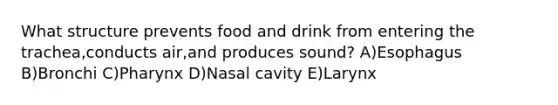 What structure prevents food and drink from entering the trachea,conducts air,and produces sound? A)Esophagus B)Bronchi C)Pharynx D)Nasal cavity E)Larynx