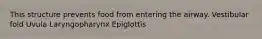 This structure prevents food from entering the airway. Vestibular fold Uvula Laryngopharynx Epiglottis